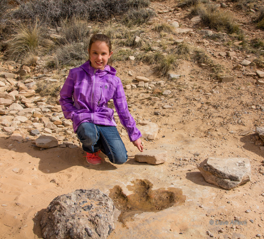 20140329_Swell_Camping-174W.jpg