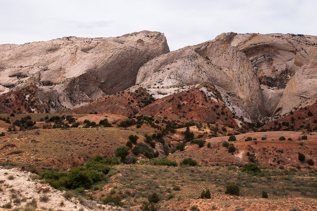_DSC1420_12.jpg