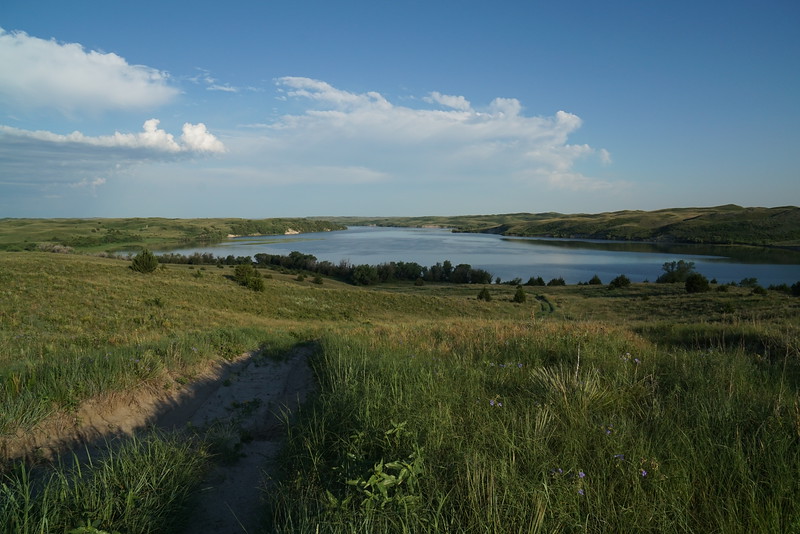 DSC00671-L.jpg