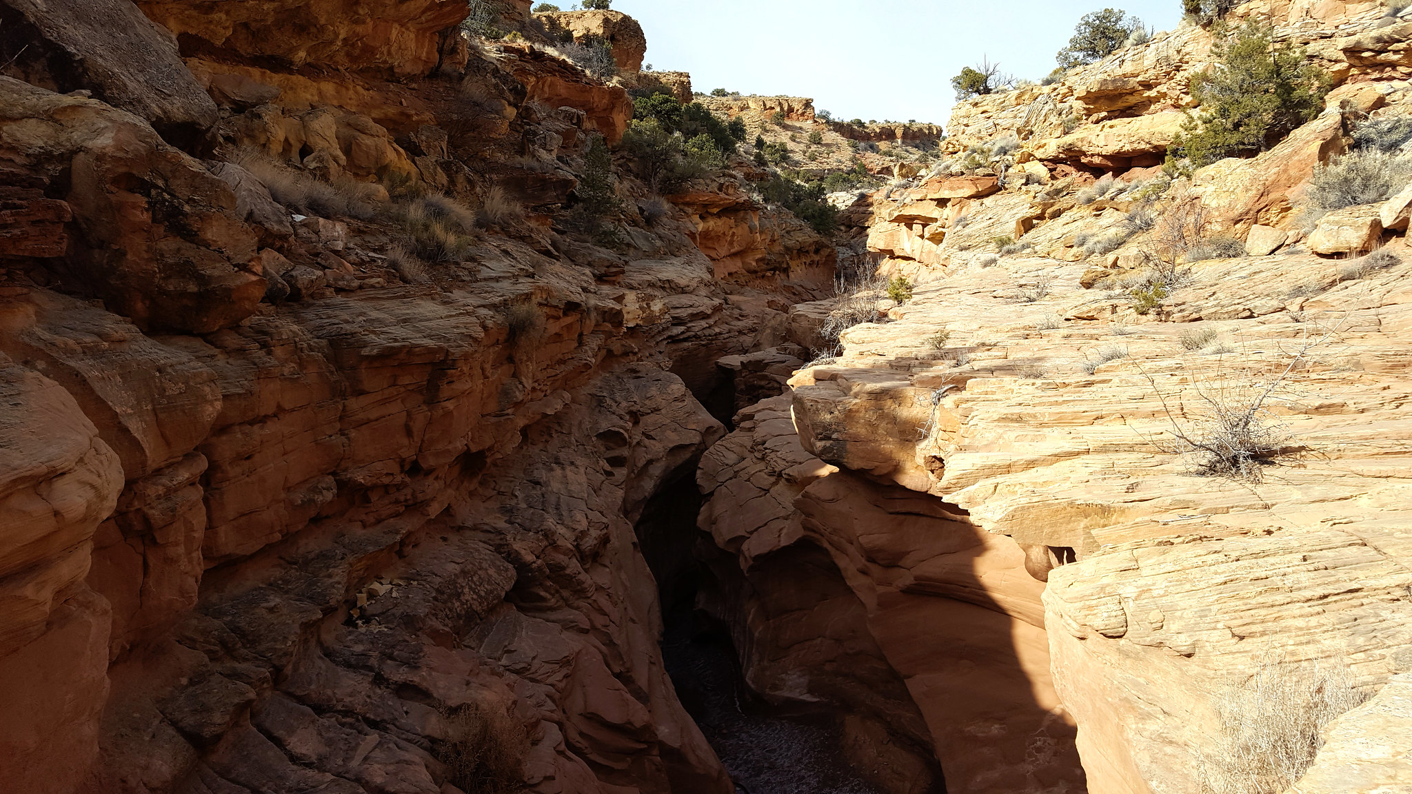 Backpacking Pleasant Creek to Sheets Gulch - WasatchWill