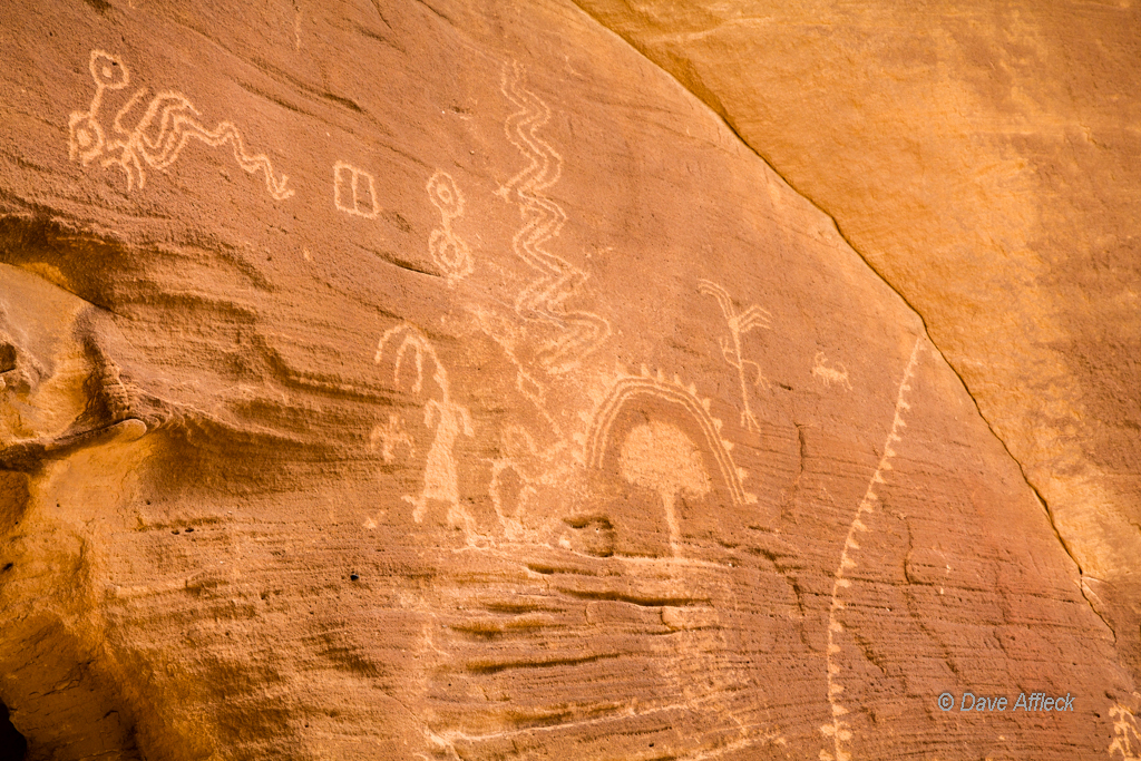 20140329_Swell_Camping-95W.jpg