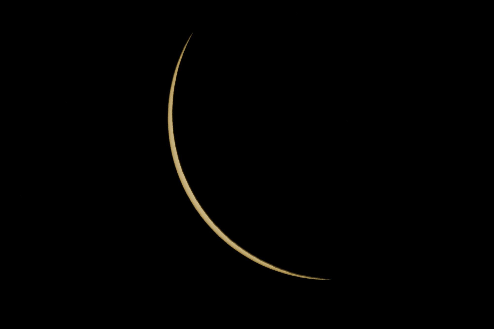 36669240541_0cb75090ca_o.jpg