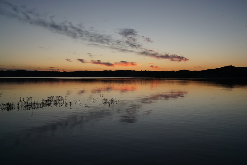 DSC00539-L.jpg