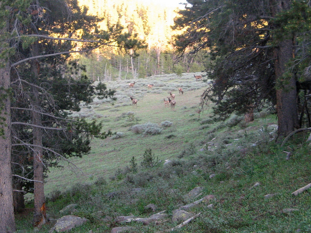 5416698189_0c956a09f4_z.jpg