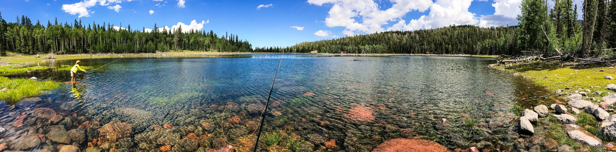 18+ Boulder Mountain Camping Utah