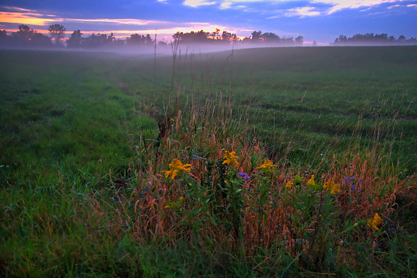 sunset-fog-M.jpg