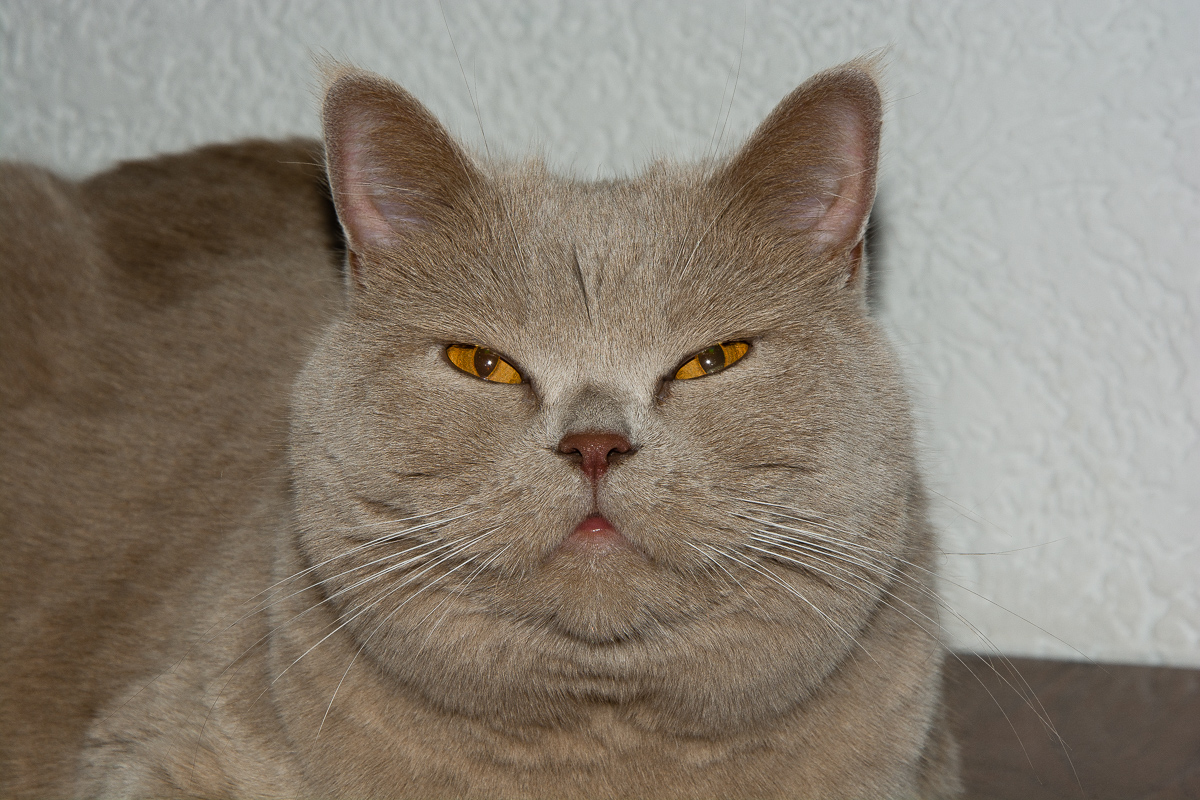 DSC_0009_12.jpg
