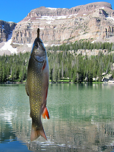 Kermsuh Lake, Uintas | Backcountry Post