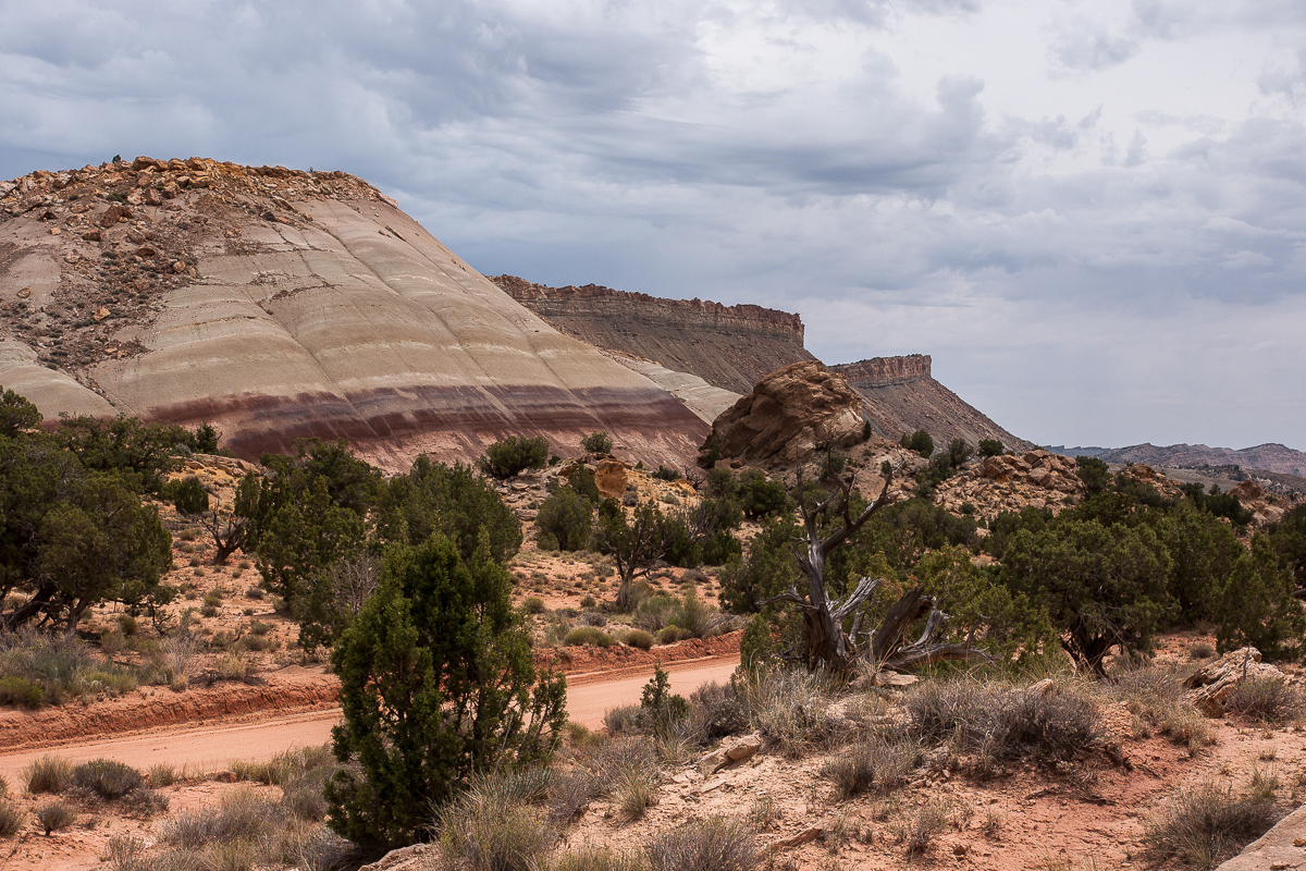 _DSC1421_12.jpg