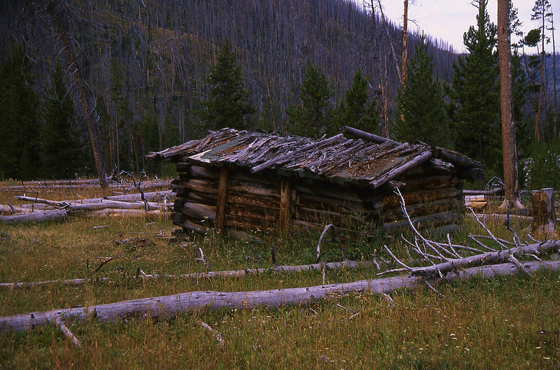 p135767828-4.jpg