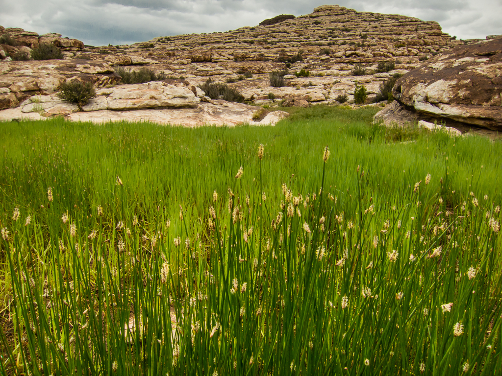 20130516_Wendover-STG_Offroad-339W.jpg