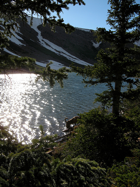 5466533225_09f450bbde_z.jpg