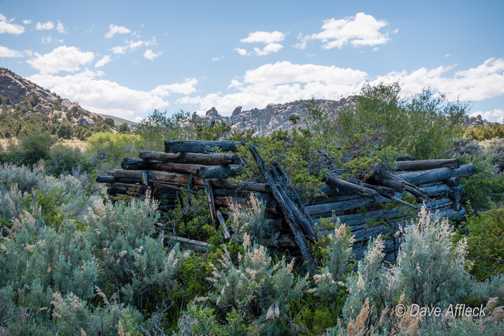 20140605_Deep%20Creeks_Camping-1510W.jpg
