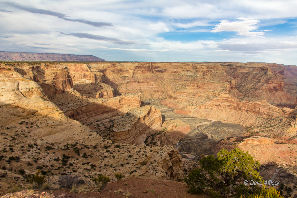 20140329_Swell_Camping-188-W.jpg
