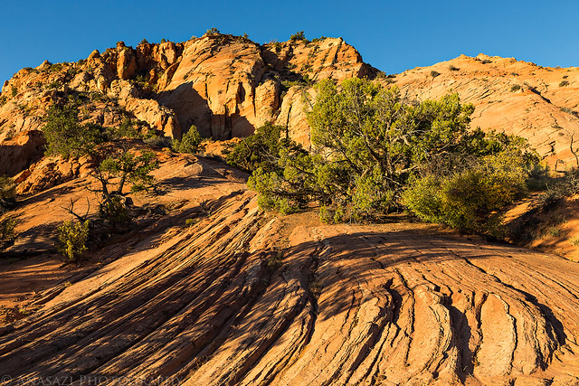 Escalante Volcano