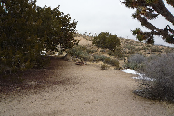 P1040178-M.jpg