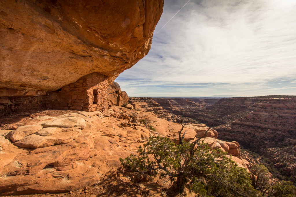 20130314_Cedar%20Mesa15W.jpg