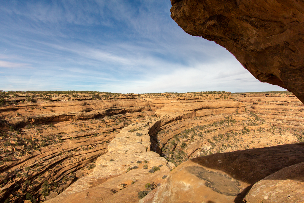 20130314_Cedar%20Mesa23W.jpg