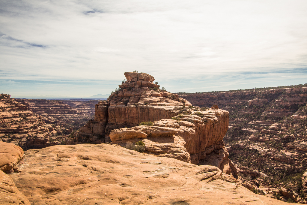 20130314_Cedar%20Mesa34W.jpg