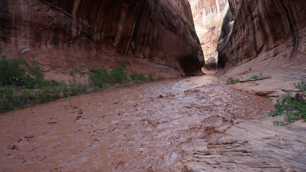 HallsCreekFlood-1024x578.jpg