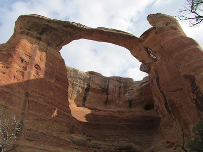 Rattlesnake%2BArches%2B2.21.17%2B087.jpg