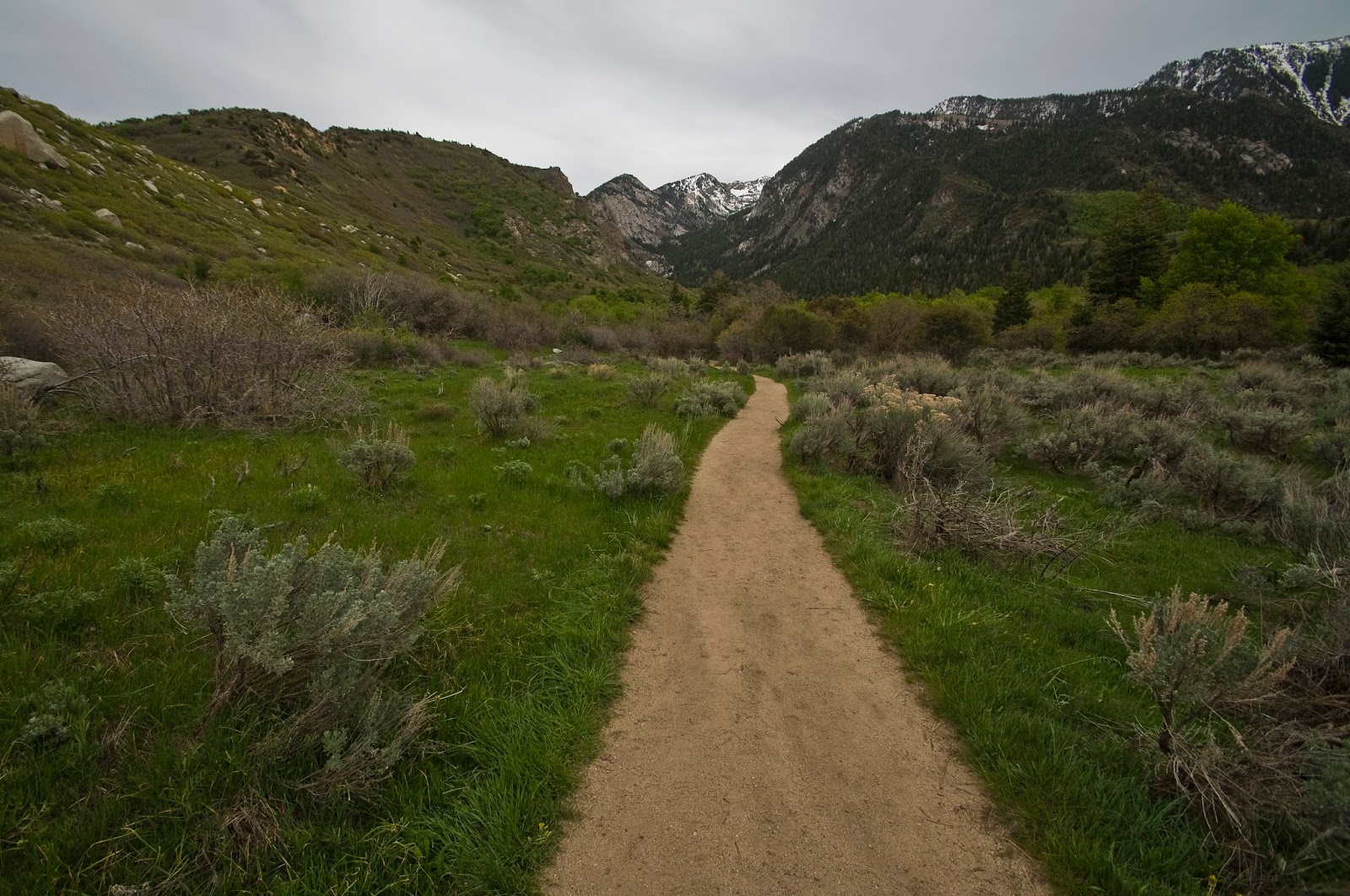 BellsCanyonTrail.jpg