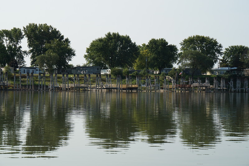 DSC01514-L.jpg