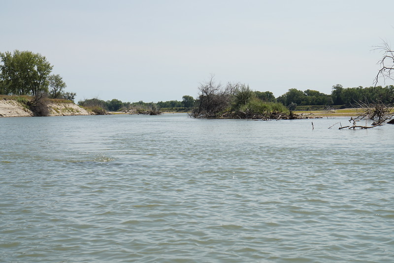DSC01674-L.jpg