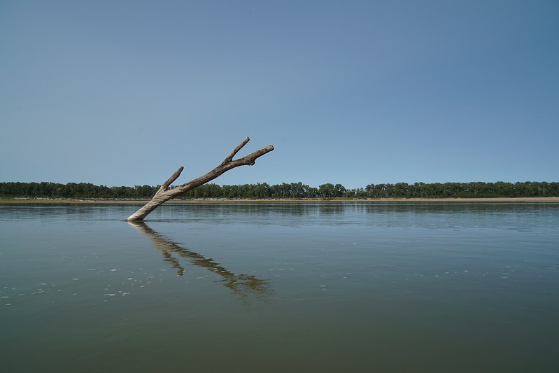 DSC01741-L.jpg