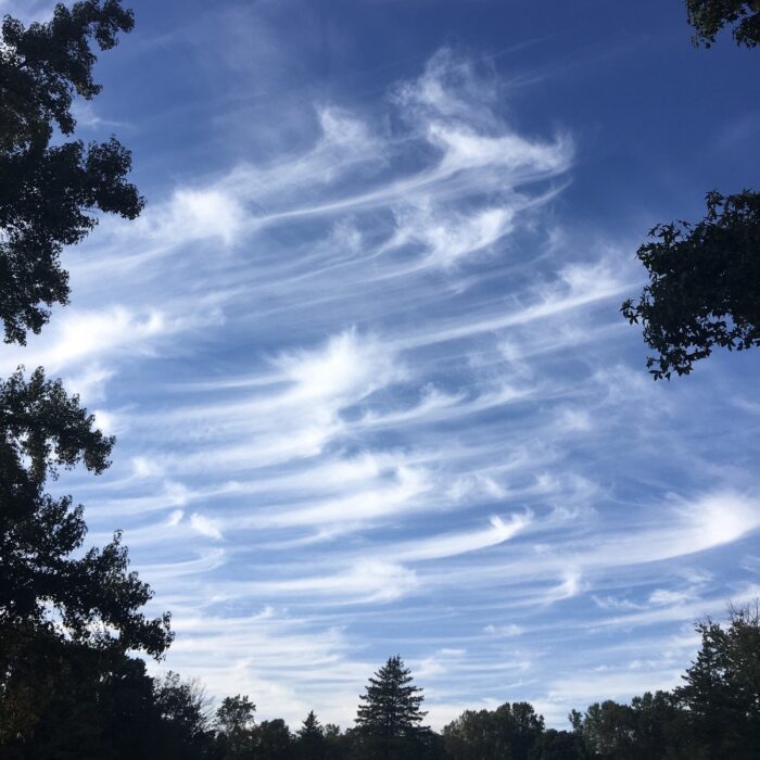 cloudappreciationsociety.org