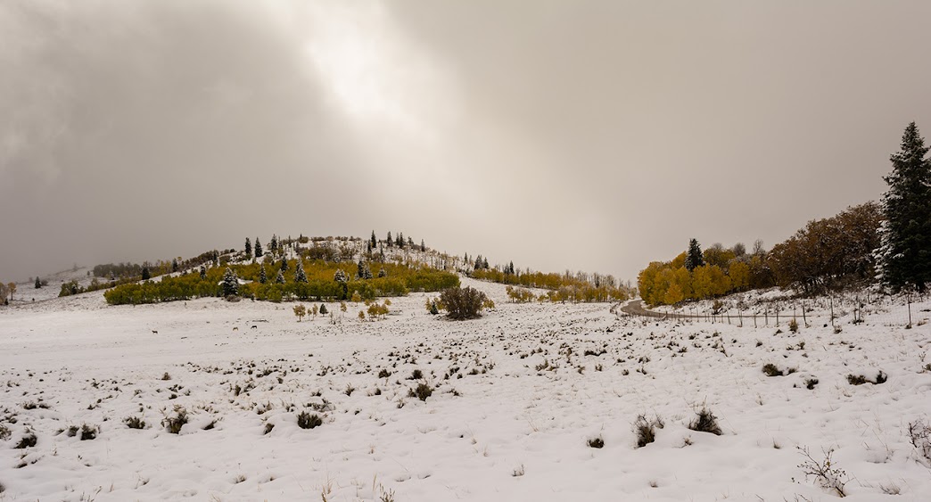 DSC_3846.jpg