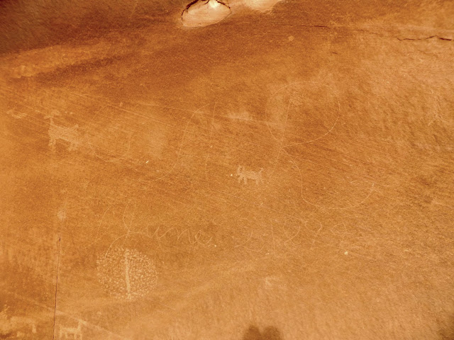 DSCF1974.JPG