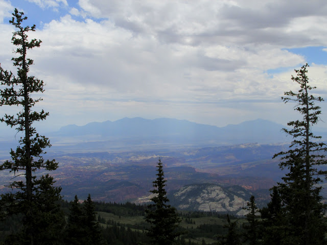 IMG_3340.JPG