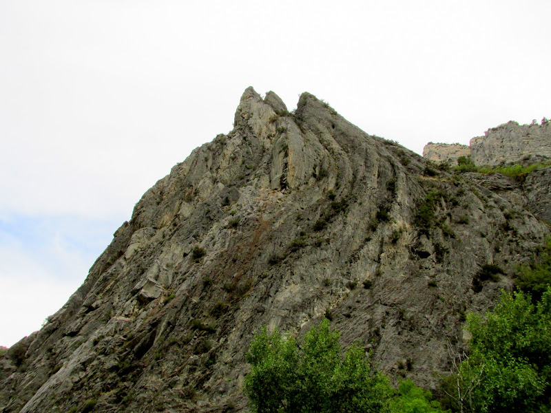 IMG_3510.JPG