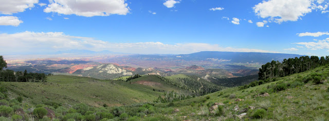 IMG_3445_stitch.jpg