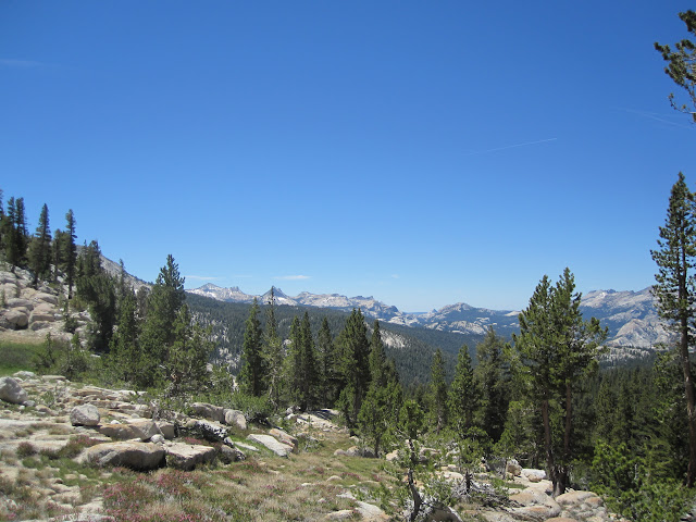 IMG_1125.JPG