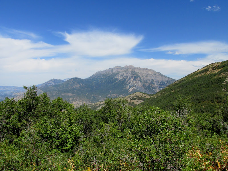 IMG_3570.JPG