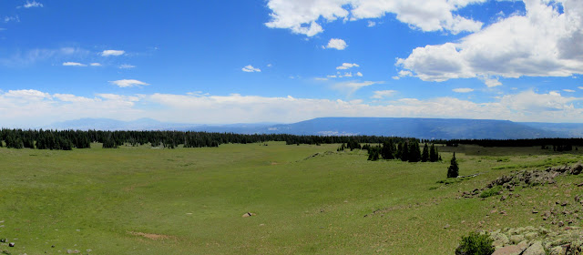 IMG_3377_stitch.jpg