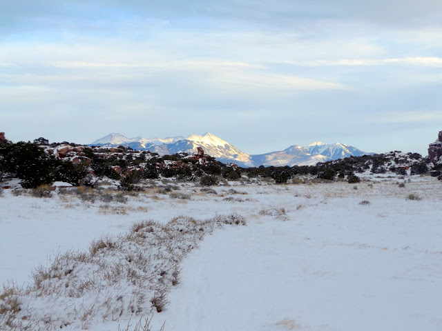 DSCF2281.JPG