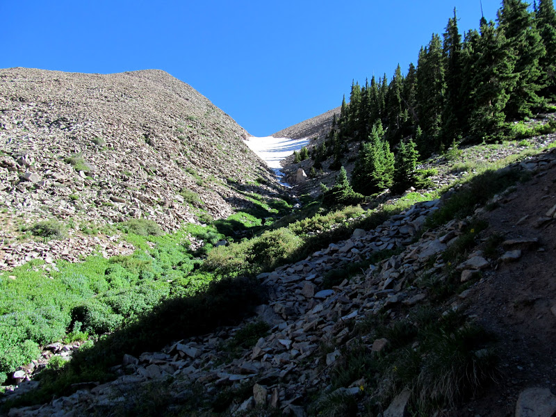 IMG_3758.JPG