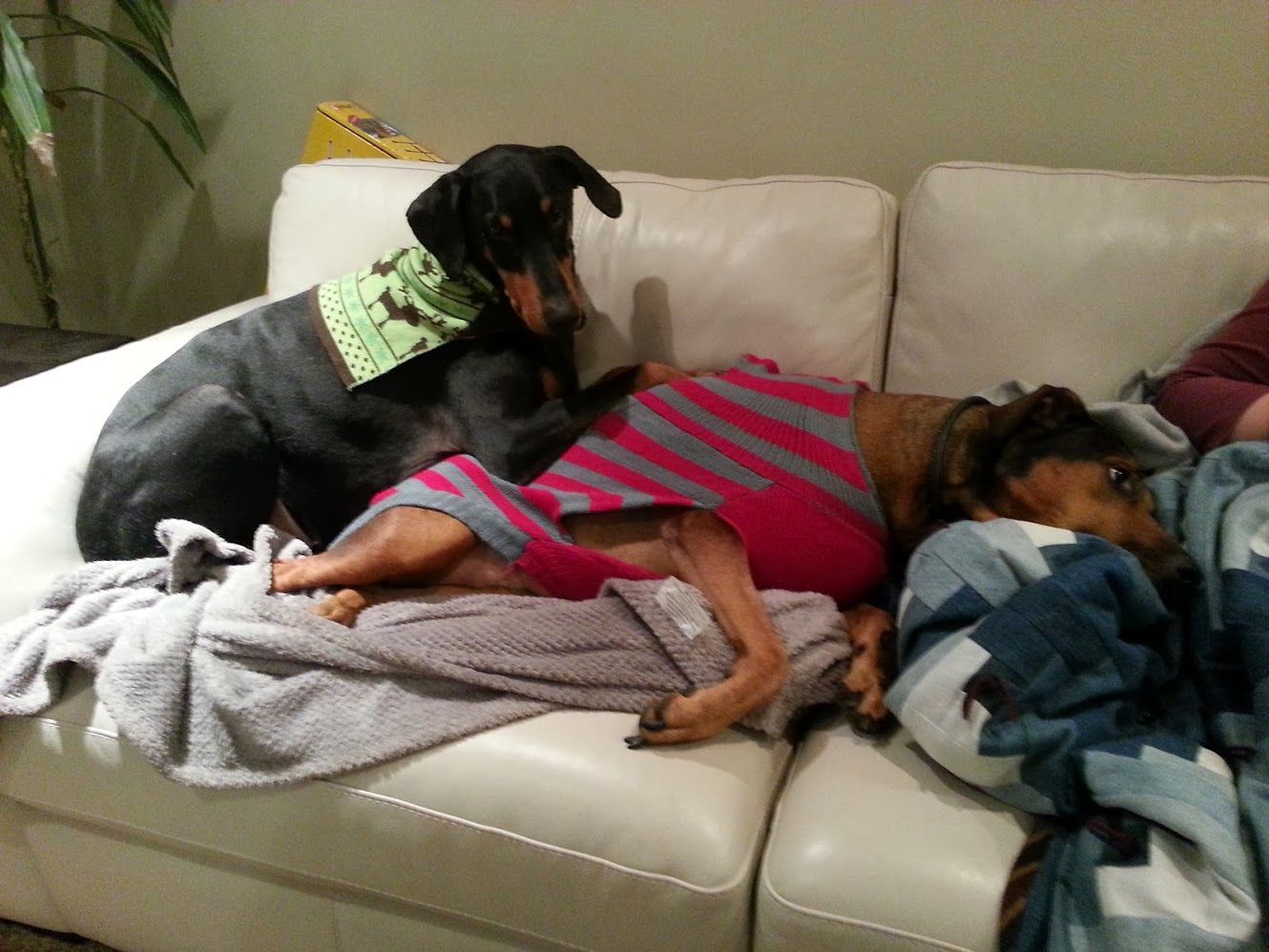 20131201_204313.jpg