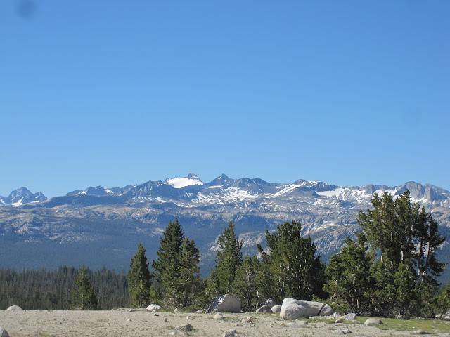 IMG_1298.JPG