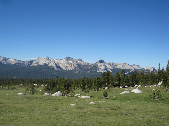 IMG_1296.JPG