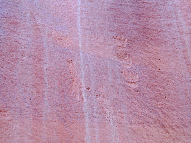 8KqHkdy9-mMZly12Jer1A6J_EowYxmKHeF8ecTmfmjjp7m5Cnknk1skxb0dw_ARjs1N11FMs005-2XXqZL8Xl52zwCXL7v7T_WgM2sOJgQwpxETRX8g7LJCTSWdO56ZHO_ipQh-CJUhaTbkbO5kUklqrGOp167uN95Hjh8Ep7nNzDqAJBAu9jSiE_x1G7uqisLHYHVQGAV0_H_Ps8U7dntmZL_G5eiFvni5gXA8MUJKrrF0SkJeLVPmyGxorrSv5wFVmwnA2QmaU05CB5zxXO-yaTnJko-SZRMQqcUIImrvQW9ThRf-95mVzj9Kan8VqDRqt6DsHX6qJO0MsM66p6-62QUV-y9q7GMX4zsuU9AnJY3MCp-eUuyu9ItJtdh0UPPUJME79Ld8guco76ANcJXuZfjSoH-0QMgqzujRREdw3S1yg8XCpd_vsZ9Fhy8cqxkJPFew64kH2PazRrVtBeB5AAB4CinebOvNiDRYXchfrKJh2Bg6lfRugiO147mwcNA5kEs0ReZMycQUttnw1-3pRsicaMtY9s00Zlq1IIX1dhQ0bW7JtS7VDZKZx_77abjNCjXGPniDl4XcdKANraYRBEfxEznonr_jSs__sPEo7iwCQcZOA49maD-2ucH2EZZ1zYvkCQraVPUuAaE1cPlMhpjgas4Uambs=s640