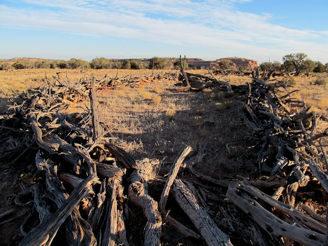 992EGsua0EcCPx1dkxoQtPEY9zr9HivPfQSPyJ85Uj5wMjezkRRZExUfLwDba3akOR8mAkOuuKk6Z-M02zc-n2cfQRS8DIHligJoobNjLnxoRP_qEyvl_0mkO6YZj6vZNjMJm3GdXM74JzwrWYX6_sIjWsF3FIrwvSEcPSJHi4XU3PznBuomUW6VOR-KvYx6a5S4CJNrKBzgtbXPdHIYFxk2rPkjGSSGORbI_8jjmD3g5ivS2MaMfYmYPe2kXd0M9QWVkFf-7_N65PXteEa-NDKnY5mq8hzGfcE9EAz-miDo82XuiQywdXcz5AlXfvERSqC9Snrrul274YcbdiQcrzvm18HIsoTrbH0EO01SjgqzEgJdBcv0z7ExA1VKO26UWZ8vu2towXmHjCIIiwrE-vhtlwGnwFBXV9CEHGjtYdaR829L82GTGa5qXoVmyshQhaTd-NrIdDSfpnZRN_DamxmTpdGYiy-ZlaugObnJruOhZQ0qDzYeuYzM8CK4xxJRrRmazxVO-12sv3r7JJO49saJugoXvZHR10QcSVD6ApN88viVtsrDVW_5Z8WK7luPv4kpc8gTmF-chs_uLmib7cyi7EvzBpFSNsre1DgtMG4HaE1zySxPlkpAP-IR-_HD8zFuylR7wHxnBhZmKgqIVWAKOsxNS4JUepI=s640