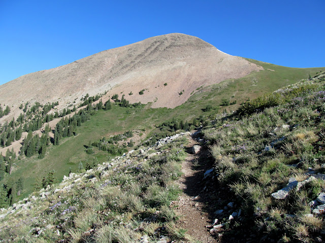 Ae9jufHeEOKg7TluB1FqVRXfD4l1Q8H-rITFqTaPPqfvuZJsB6VMCSNyqRJ2cu5H_fH-PjebShTDfaXT0Q=s640