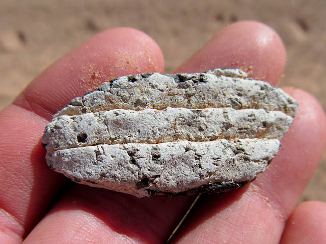 D6fbLSrkfPsg4Vi8qaign0yn9vZb4v3Ag_gA1p3IxVb381eucv8ksXu3EuzBtsPM0B6cfIKXoJJ4382W7z9ioltwhe0FuDo7pS2zThEdoYh-g24Dc4-wkX2iaKCgDM5DXScE-gXnGNfOF4P7XUFots-6jDulBuezHRAhCrbhLgXYDUhVilh2kbEHb7XtP2gScKlW5etYRRDLcbR30mPnkeROkBs1HHb40W-dSZ8fKCK8IUunLl48TOD6adC6UXz0KKVPUY0mnajQ5YP-d5SEXs046pK33iXOdXKwtAZmjJZl-quj60J5R_YvK5xtgpyJaPGK8EcyRVco-GFeV0N7XoIslPFXEu4qH4I_fKFxZ2KmZCZ_cjpo_e-_3dJrAJB1eUgjmxJkO-ycozsM99SFKuJ2nUZYy09PIAIWoPHTM74IcsaJYGHNVQ4mj4uBDs4ILrkfq7h0qDrPMY_gfd2bvhMbhLRjgHmyX_Kkx6hXSX-N6nYhc68KLdCvpzG0on442B2tdPtkZI6NdwnrCveG-irTMIHZ0-Kw_BxxgPjqnvoPVdKrE7AcmVH0Re2DcShH4glW_P0_ASDTR_UTnhXBkruUOJWjIefUS6AMHZ9OxjLNi4l5UfaGd_SUi6XnxeuIuChfgOaeTgPcDNPhGVXjfZS9RsfXkCJCgeI=s640