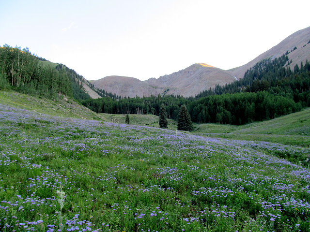 Dk19DZ5rC2pwGmT1G4p5SEMEqeD5CmKikRuRF2oAxwKRgRmrmZO9zLRHbe5P6k5JqgQrwJD8GWBPJVZWfg=s640