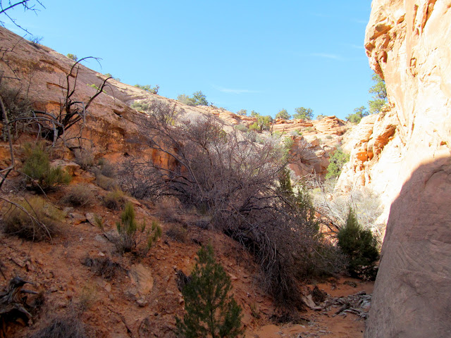 Dl4MuYCdBx71k-Y3Y4bzRfXpWY8rmf5rKBn6tu0hFbpp-Bk0QG56MHT3qQKVdmIyzeXjYeUEJpDRDrpEtoiMA4-86Zi5njlPLDwypmEvGEULY1J83wqOx_Y6peSvzqBYaz0LByksVl8DfEy7KA0PcuHBYfJu9bxX_v7YcnG-V3XJaaTOUKUbSJzKN4QBvdpWnqqqNy_YhXZdl8O9ID9-ls-rlS92FYsXUtVwULKFnuGRf1pxuNXqTyp54ilZ_hFc7PZvJVL_QyCJqLjRlkht-UrBJZaxnG7bCsqJThBdJiJJssQm6Y4tilByNTF24ftWi2FU3-msSxkm2rddkw9Wd4ET0qchJ6YnX8Tbn_LvzBmbz8obKcOTWkDgGU0_0adsIS7TiLA5e3NA-gXAHmkSB6lbfePhPX5s7pua23Wz6YAWT_bqjzbxFk_DACXBty9srY7QtNDus6SqldX44F4CxwFdFr6GUG9ODYqLagPQLk08Ov48JXoJEWixvYa2XV8OiYTLowN_Bek3SdemF60tHDEL_wuWl39ogbqjb187dFhalzkSvp2m12wmZw6PxLj4AqqCftLjHqiocyLTNAkSA5d24TzHogZu1iw4DplF_19v-Qhow4B72vnrncriDpYJqzImIYCFHhoLdDEVbzlXcYfVOXL0MfwfpUY=s640