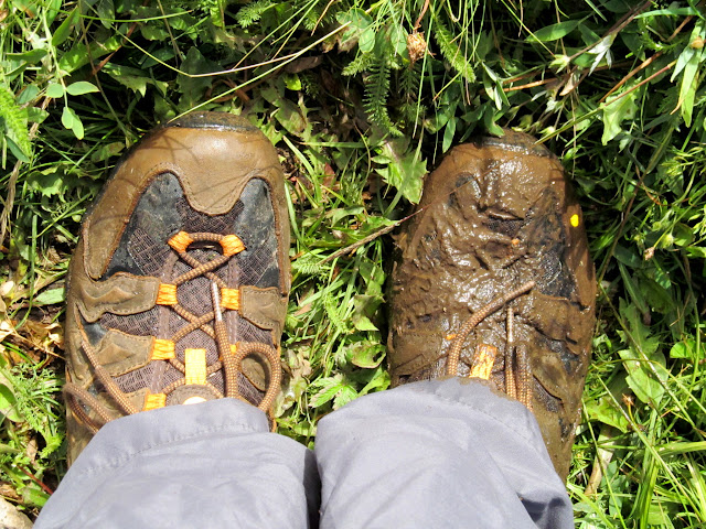 DxP23ojDNJlkB_rHXuq2XUm8XY3YWpY1sY5ssxiwdbtKU5vYsH-tCFr59HsD8eXo5pU6XA9daXoQqSB-oQ=s640